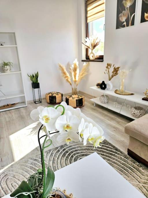 Cozy Sorada 1 Apartment Bragadiru المظهر الخارجي الصورة